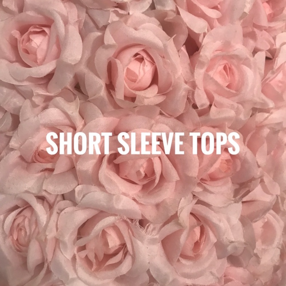 🌹🌹🌹🌹